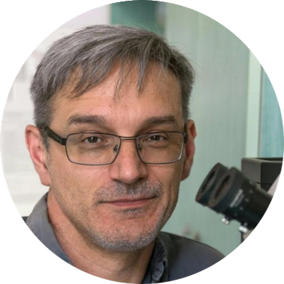 Prof. Dr. Ovidiu Sirbu